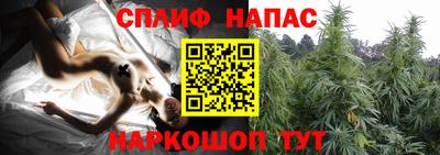 МДПВ Нальчик