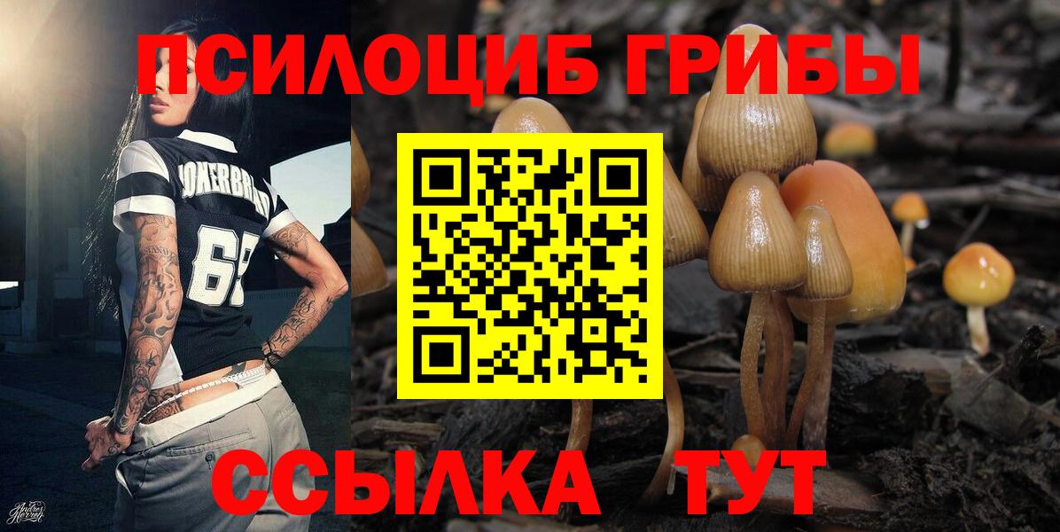 Галлюциногенные грибы мухоморы Гулькевичи